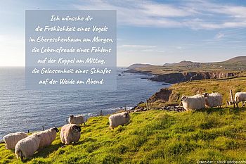 Die schönsten irischen Segenswünsche Die schönsten irischen Segenswünsche