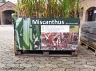 THE BRITISH SHOP beim bio innovation park in Klein Altendorf