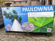 THE BRITISH SHOP beim bio innovation park in Klein Altendorf