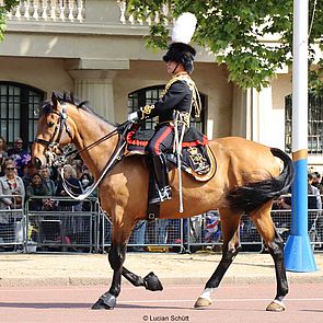 Das 70. Thronjubiläum von Queen Elizabeth II: Rückblick mit Bildern und Videos