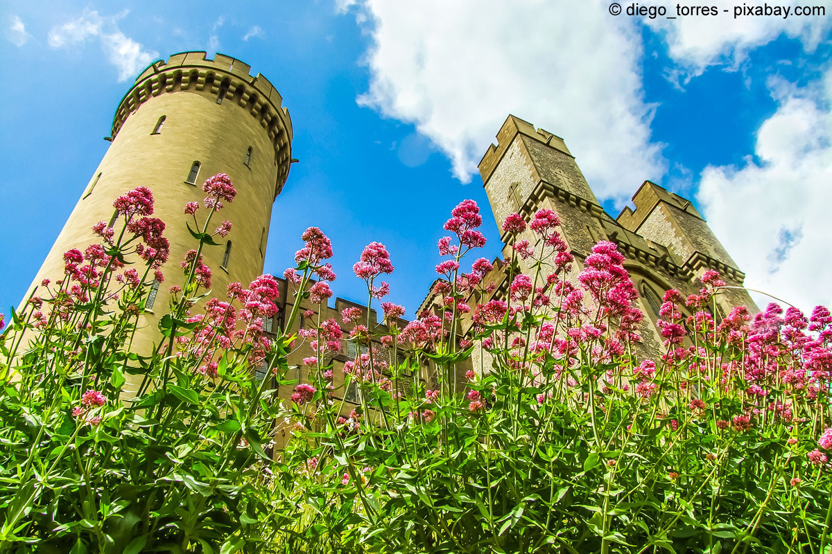 Zwischen Kreidefelsen und grünen Wiesen: West Sussex: Arundel Castle