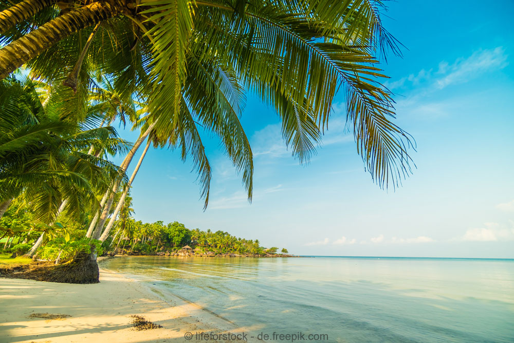 Ganz allein auf seiner Insel: 300 Jahre Robinson Crusoe