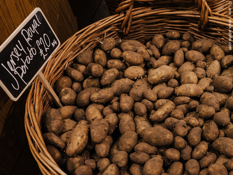 Ganz besondere Frühkartoffeln: die Jersey Royals