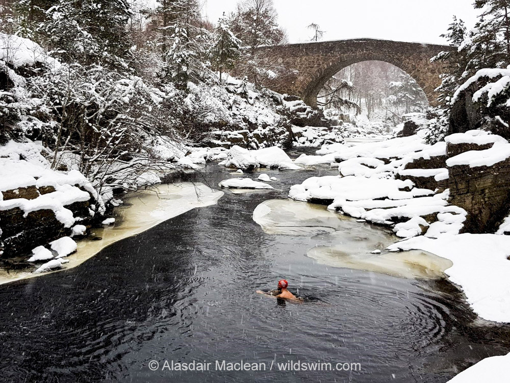 Badewetter! Wetterfeste gehen auch im Winter schwimmen