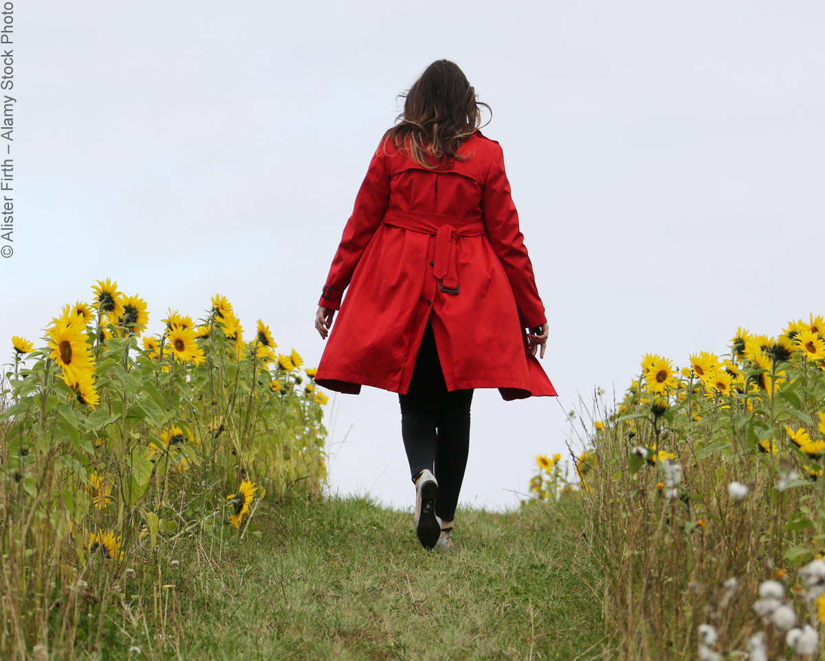 Danke, Mr. Macintosh: Der Regenmantel wird 200